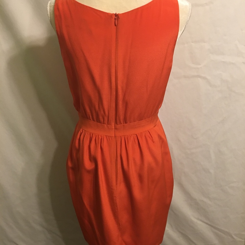 Dress - Picture 4 of 6